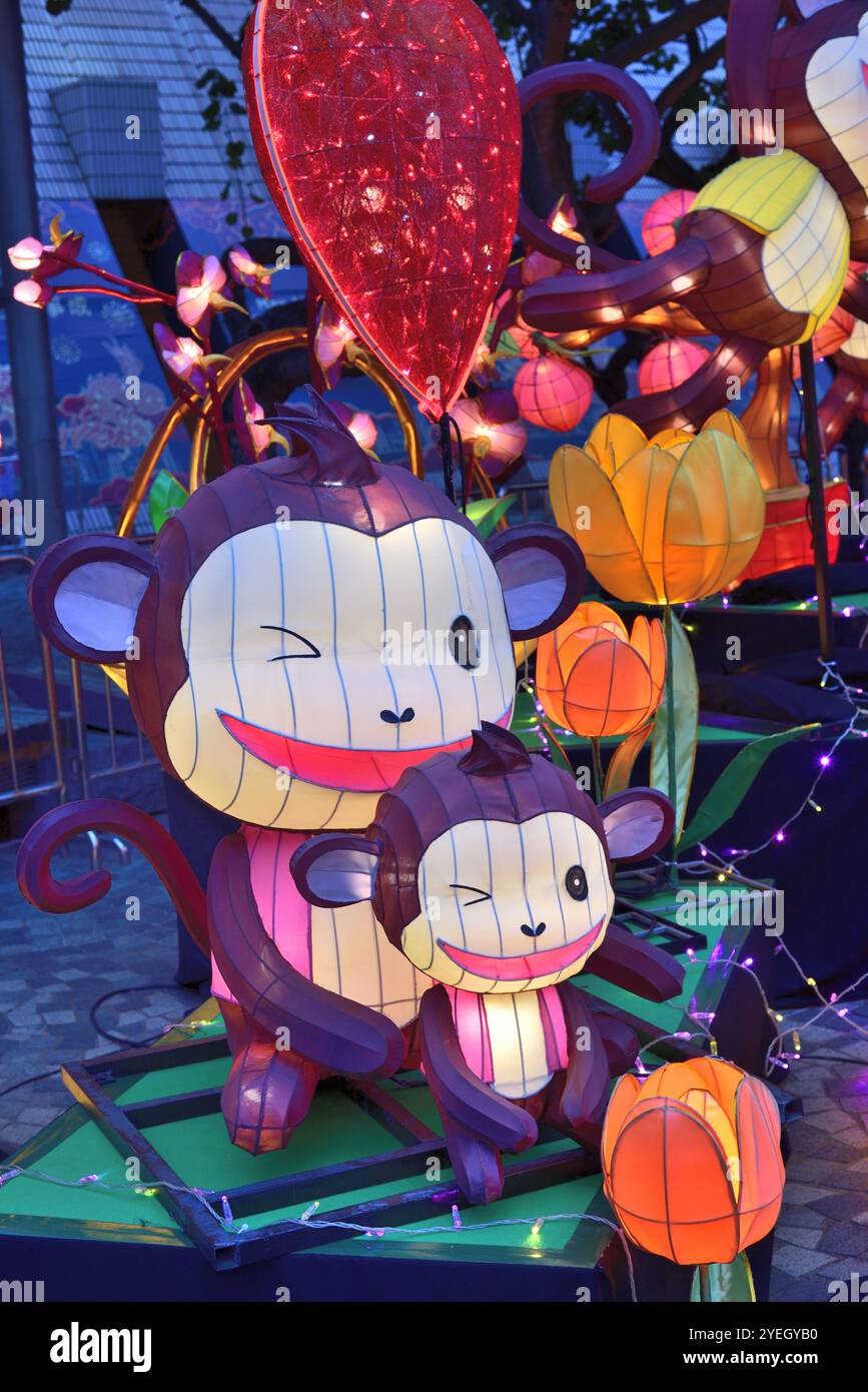 Lanterne di scimmia madre e neonata Foto Stock