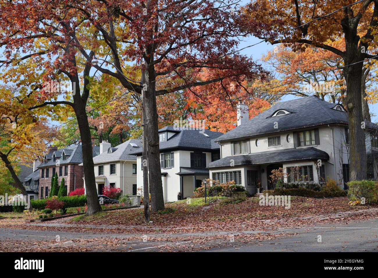 Strada residenziale con grandi case indipendenti e fogliame autunnale Foto Stock