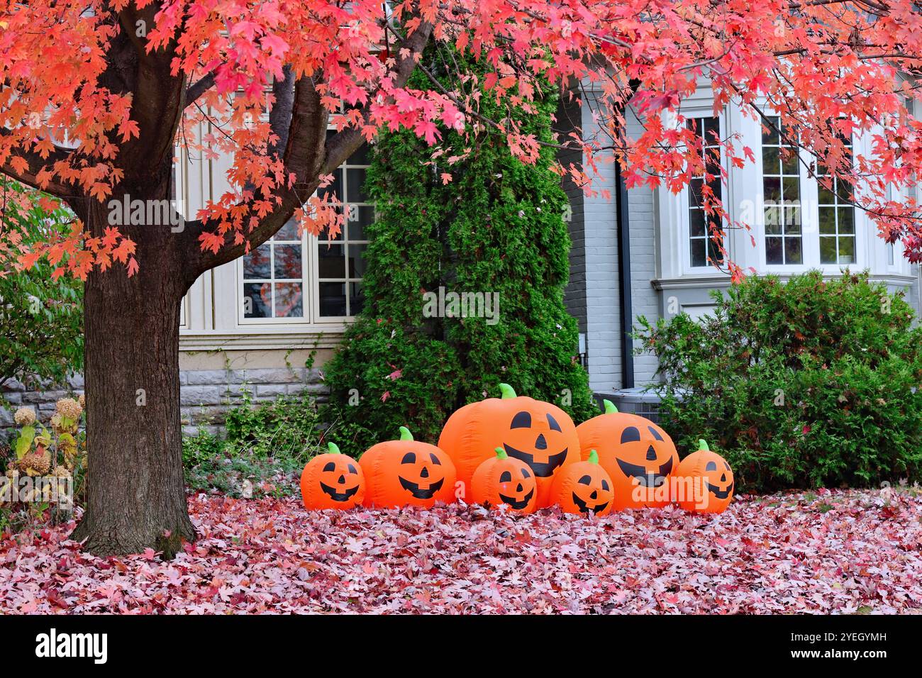 Cortile anteriore della casa con fogliame autunnale sull'albero d'acero e decorazioni di Halloween Foto Stock