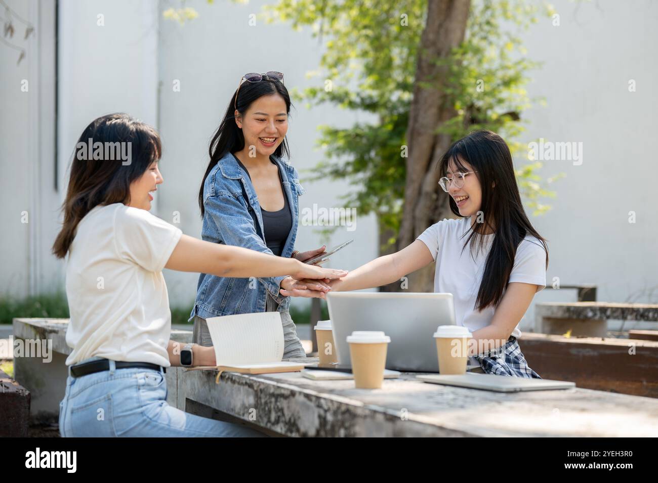 Un gruppo di giovani studentesse asiatiche si sta mettendo le mani insieme per mostrare il lavoro di squadra e aumentare il morale mentre fanno brainstorming in un tab Foto Stock