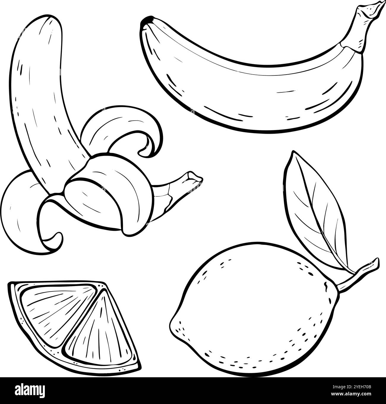 Set di splendide illustrazioni disegnate a mano con frutta, banana e limone. Illustrazione dello schizzo vettoriale. Illustrazione Vettoriale