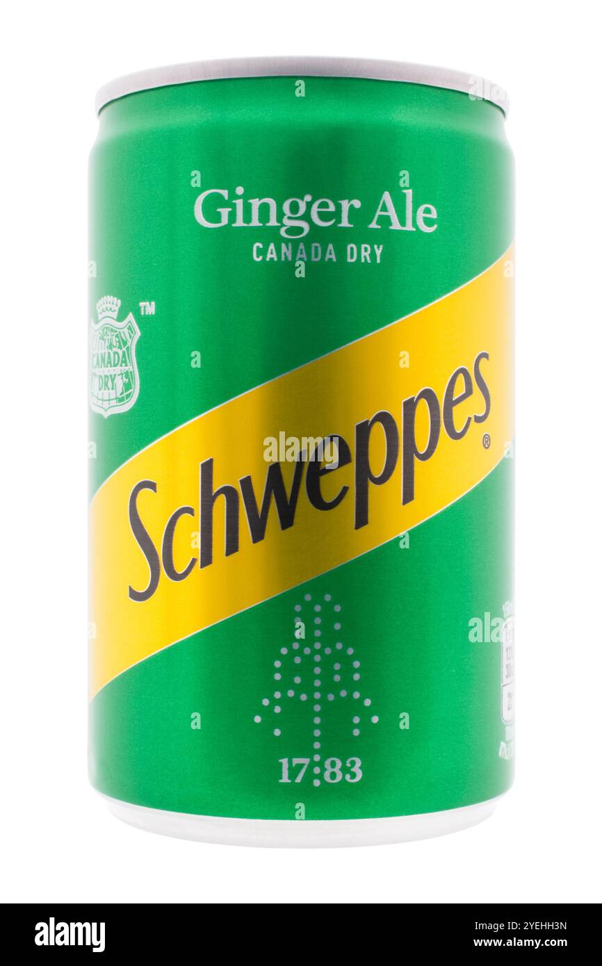 Lattina di Schweppes Canada Dry giner ale su sfondo bianco Foto Stock