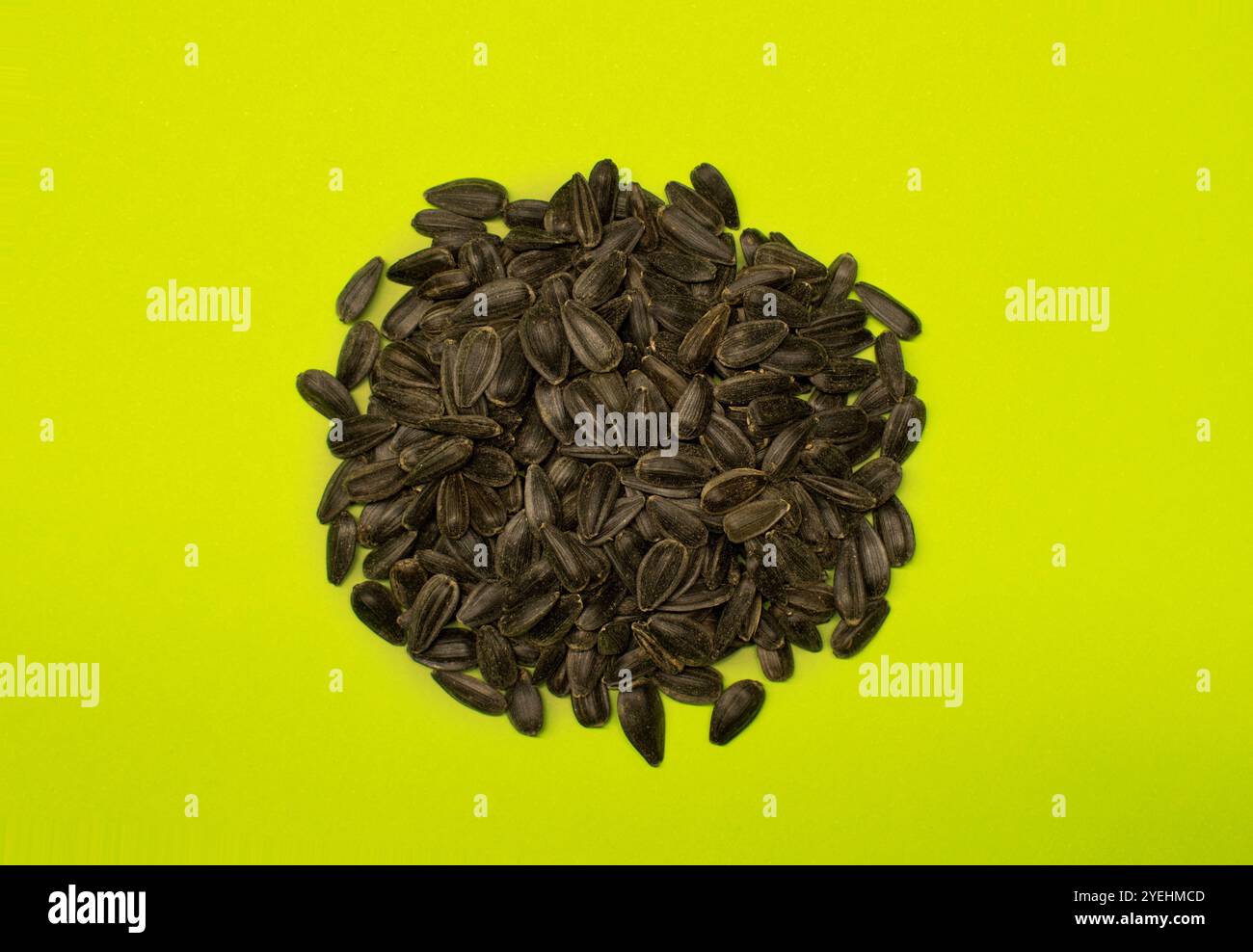 Cibo intero di semi di girasole con olio nero accatastato al centro su sfondo verde chiaro. Foto Stock