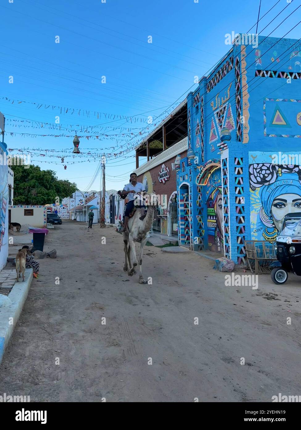 assuan, egitto - 20 marzo 2024: uomo a dorso di cammello lungo una strada del villaggio nubiano con case multicolore Foto Stock