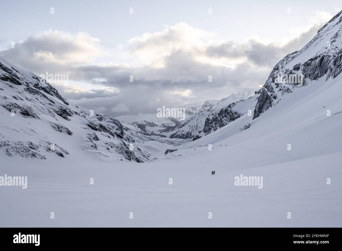 Sciatore in un paesaggio solitario, paesaggio di montagna innevato, vista su Iffigtal, atmosfera nuvolosa, tour alto, Alpi Bernesi, Oberland Bernese, Svizzera, EUR Foto Stock