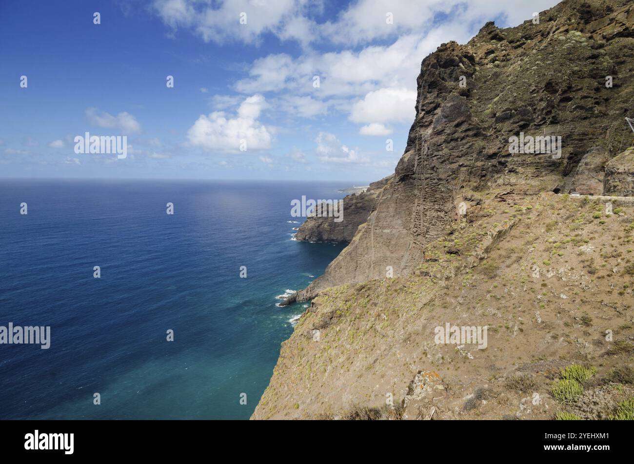 Paesaggio di Tenerife. Scogliere Teno nel nord dell'isola di Tenerife, isole Canarie, Spagna, Europa Foto Stock