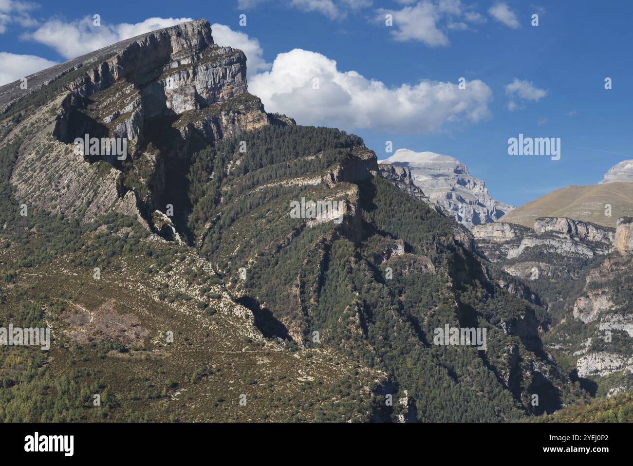 Canyon di Anisclo a Huesca, pirenei Aragona, Spagna, Europa Foto Stock