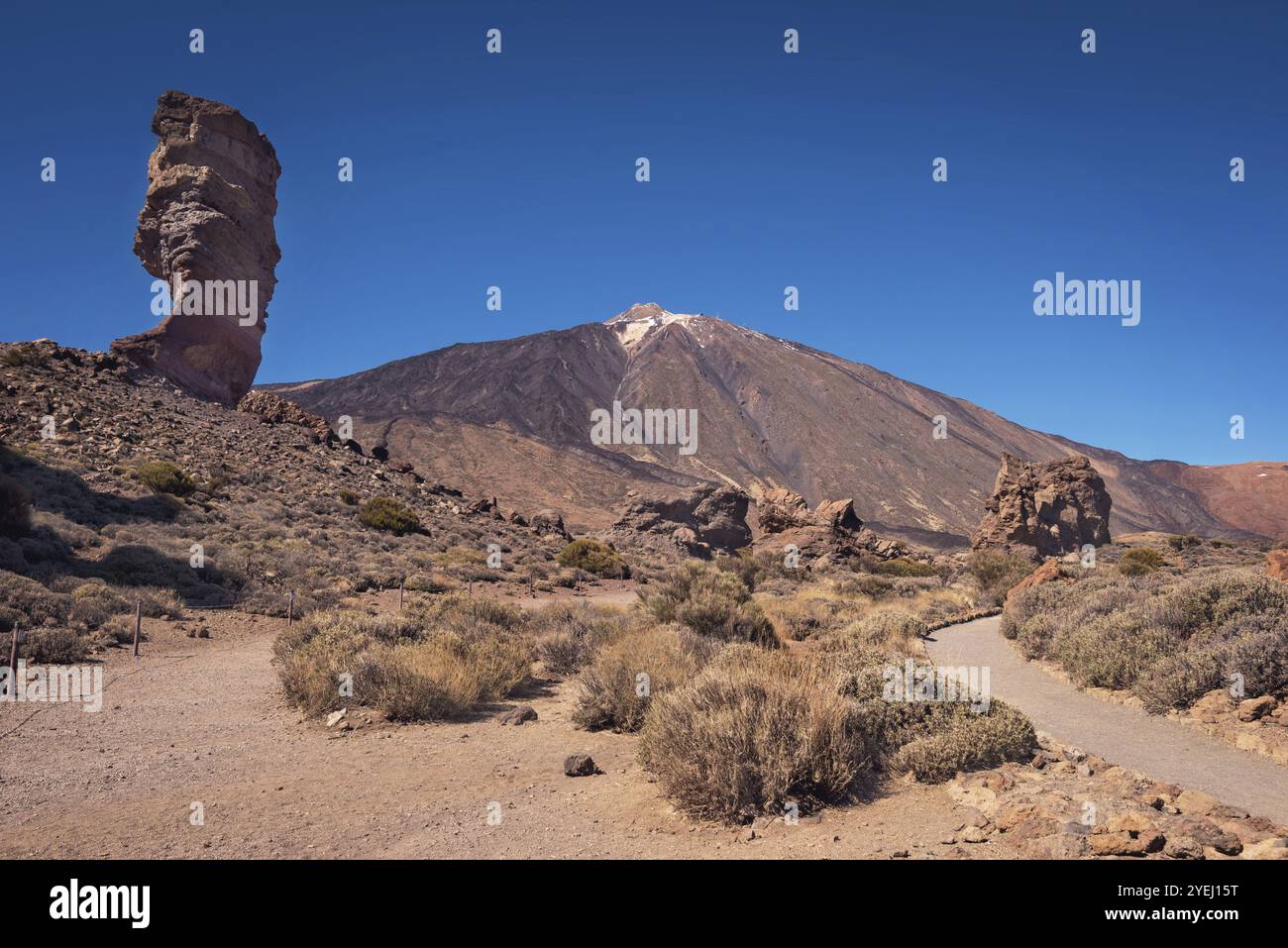 Parco nazionale del Teide in una giornata di sole Tenerife, Isole Canarie, Spagna, Europa Foto Stock