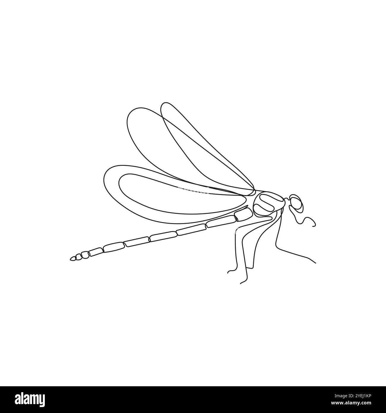 Insetto Dragonfly in un disegno a linea continua. Illustrazione vettoriale minima disegnata a mano. Illustrazione Vettoriale
