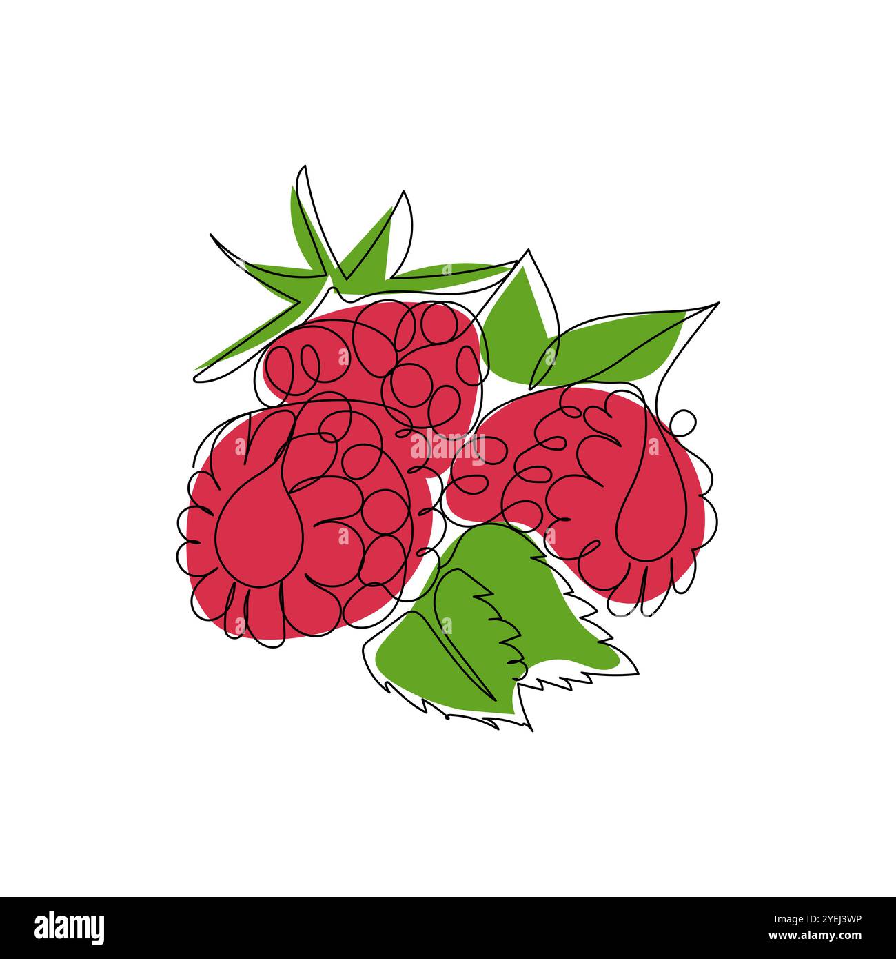 Frutti di lampone. Bacche dolci, salutari e fresche. Illustrazione vettoriale di colore a una linea continua. Illustrazione Vettoriale