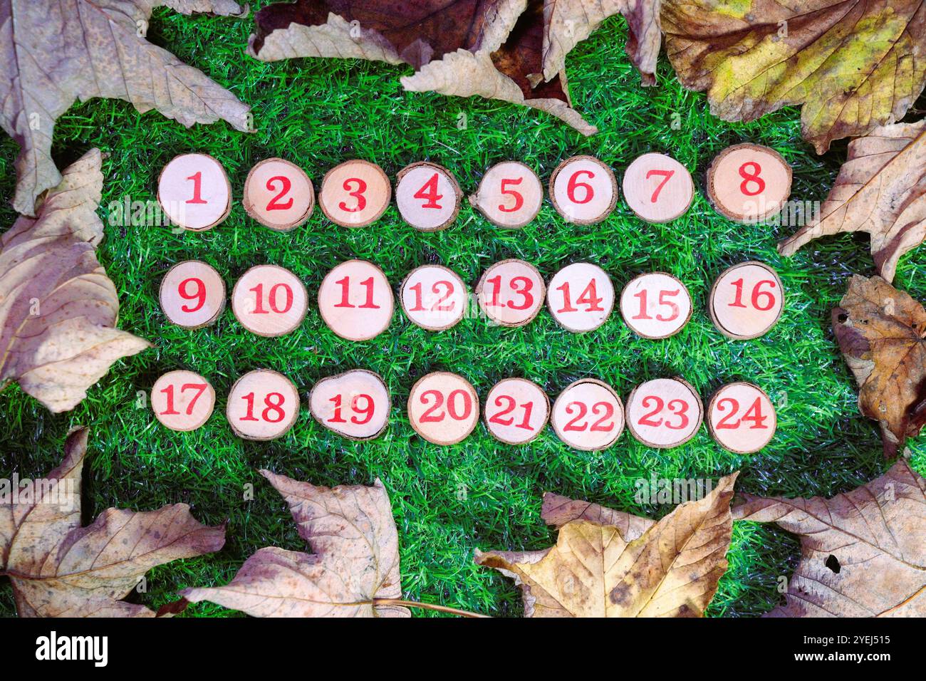 Numeri rossi da 1 a 24 visualizzati su piccoli bottoni di legno su uno sfondo di erba brillante circondato da foglie asciutte, adatti all'avvento natalizio. Foto Stock