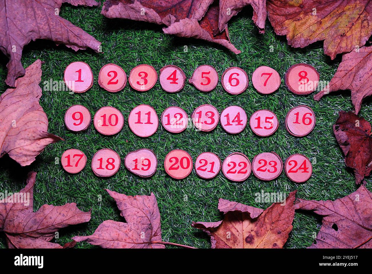 Numeri rossi da 1 a 24 visualizzati su piccoli bottoni di legno su uno sfondo verde brillante circondato da foglie asciutte, illuminati da luce rossa. Foto Stock