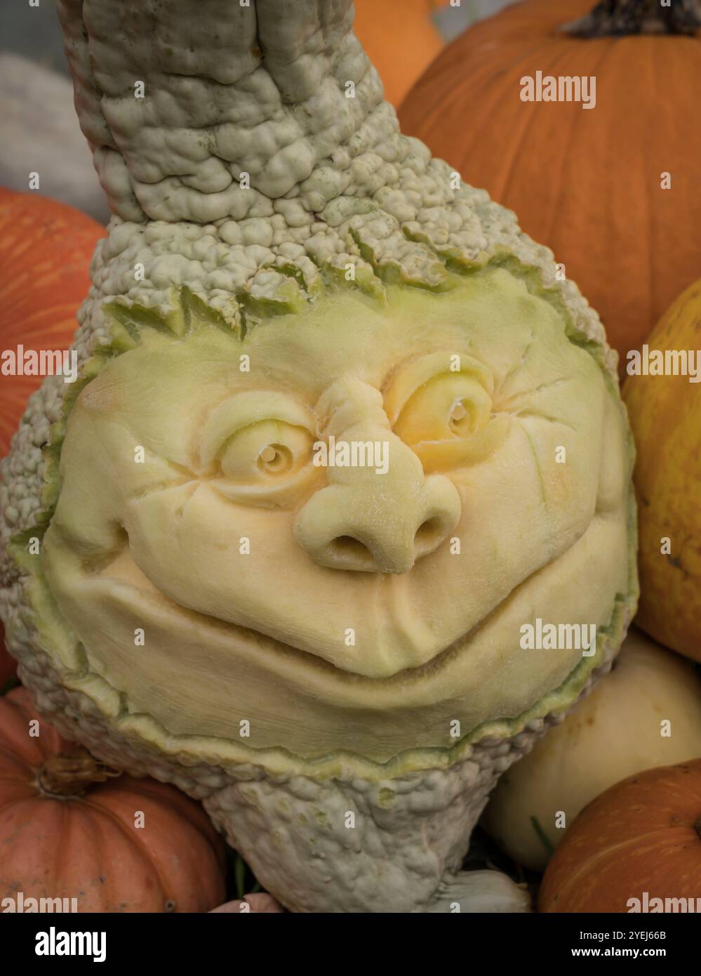 Zucche intagliate con facce divertenti. Foto Stock