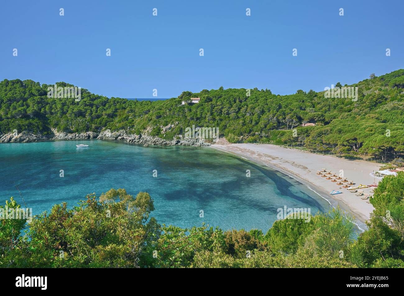 Spiaggia di Fetovaia a Marina di campo sull'Isola d'Elba, Toscana, Mediterraneo, Italia Foto Stock