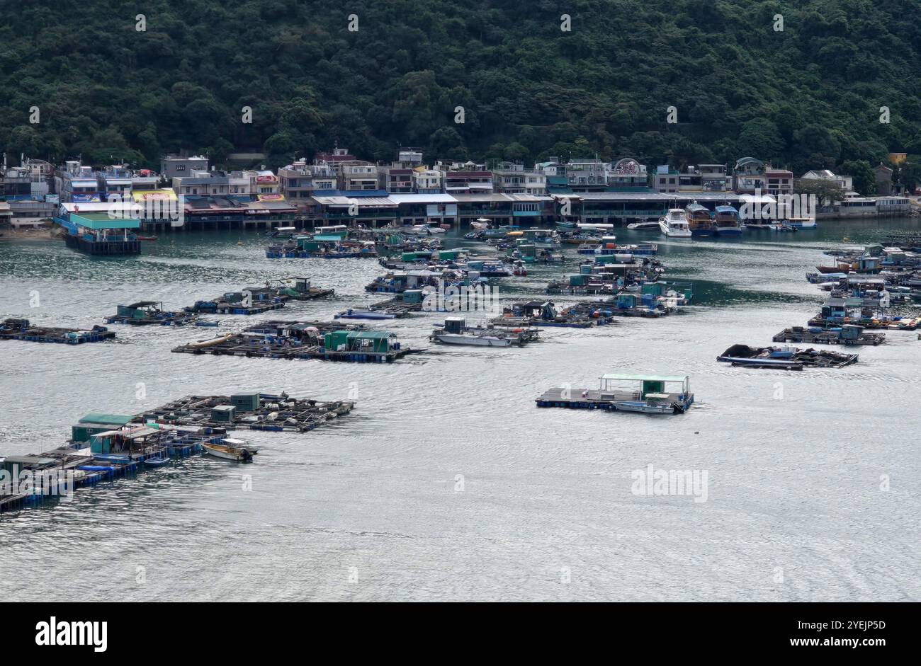 Aziende di acquacoltura a Pichic Bay, Sok Kwu WAN, Lamma Island, Hong Kong. Foto Stock