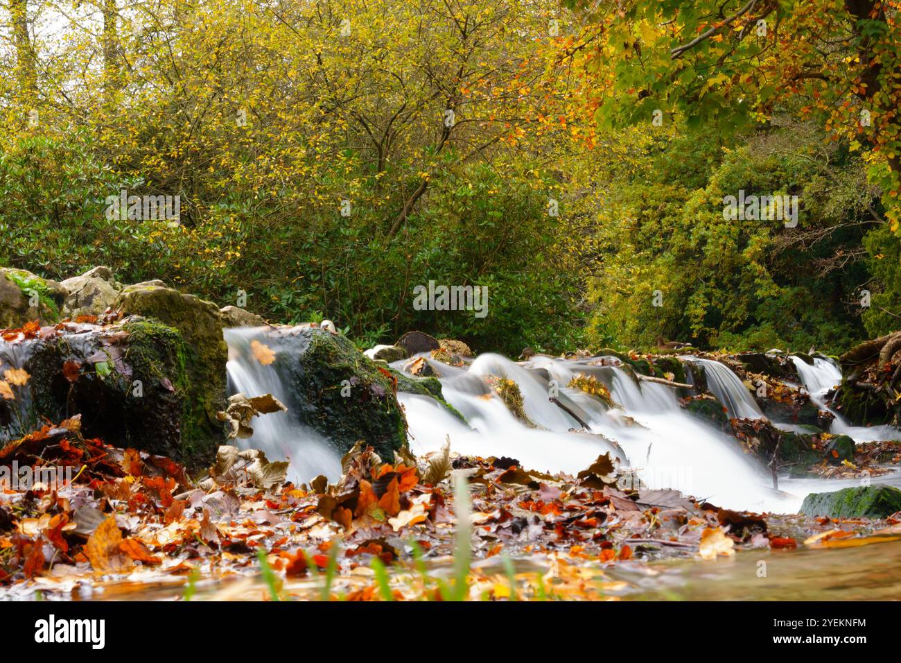 Cascata autunnale con velocità dell'otturatore ridotta e acqua sfocata. Foto Stock