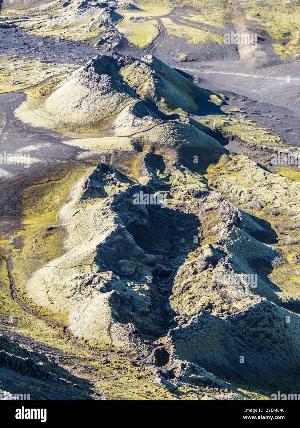Cratere Laki ricoperto di muschio o Lakagígar, serie di crateri, altopiani interni dell'Islanda, Suðurland, Islanda Foto Stock