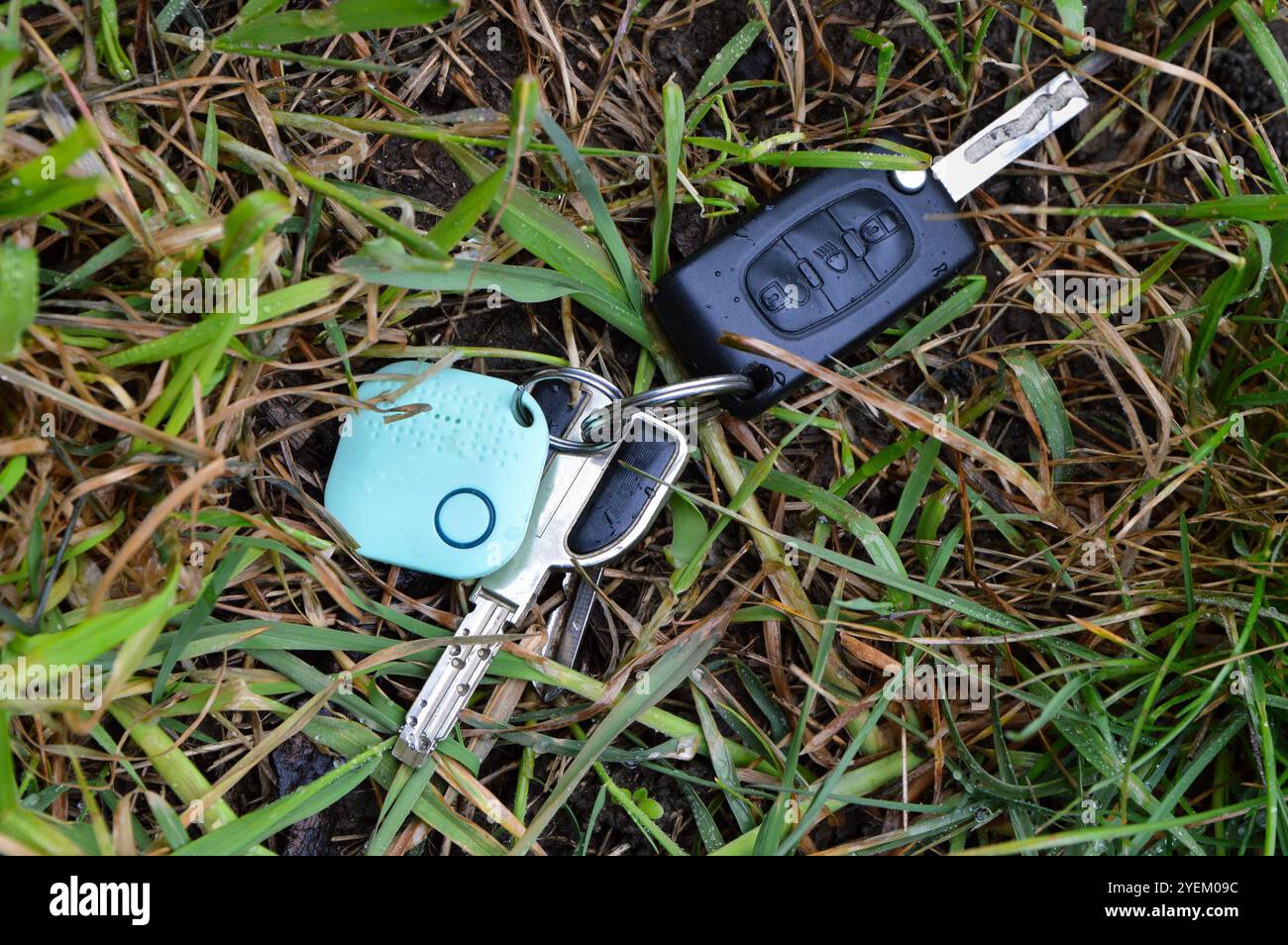 Un localizzatore gps sulle chiavi perse in natura Foto Stock