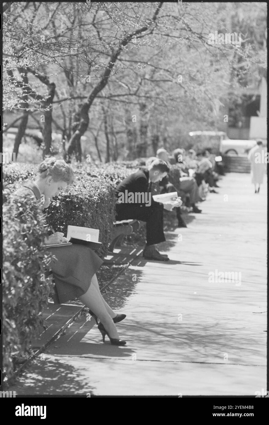 Persone sedute sulle panchine del parco in primavera, Washington, D.C. USA. 8 aprile 1959 Foto Stock
