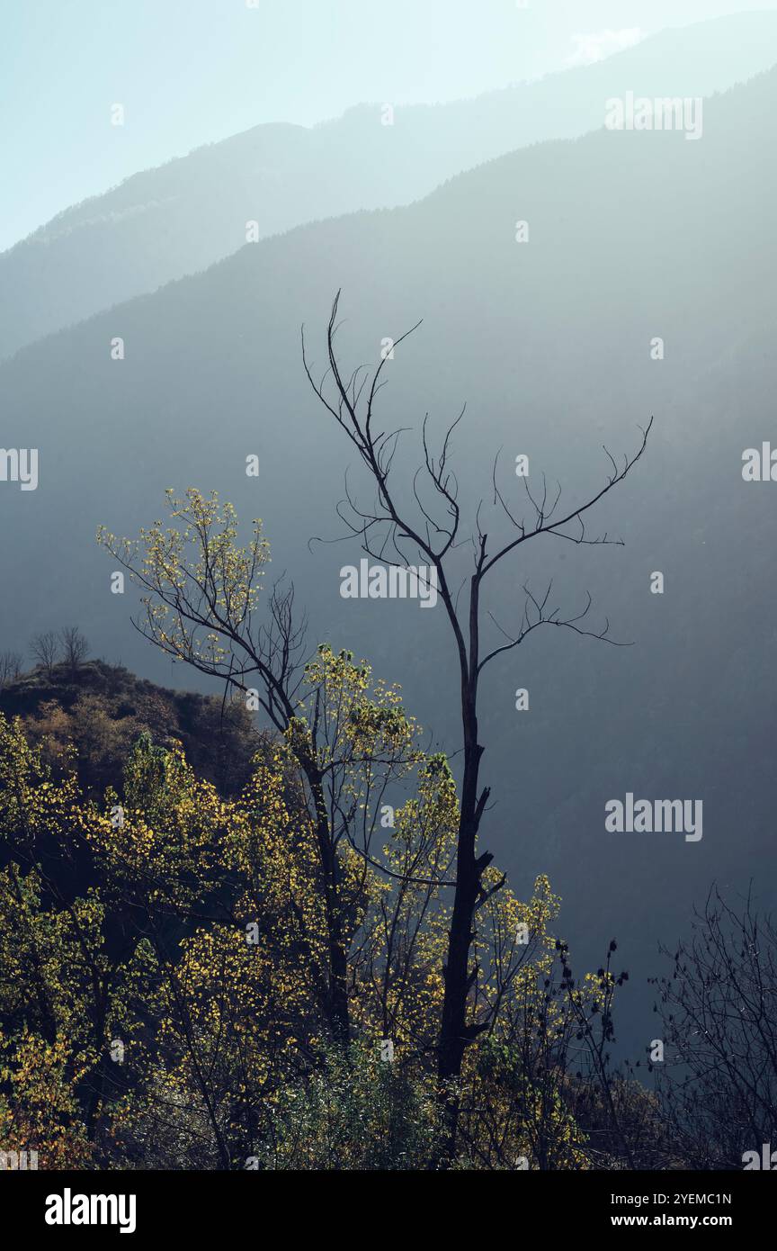 Paesaggio montano autunnale nel cuore delle Alpi marittime Foto Stock