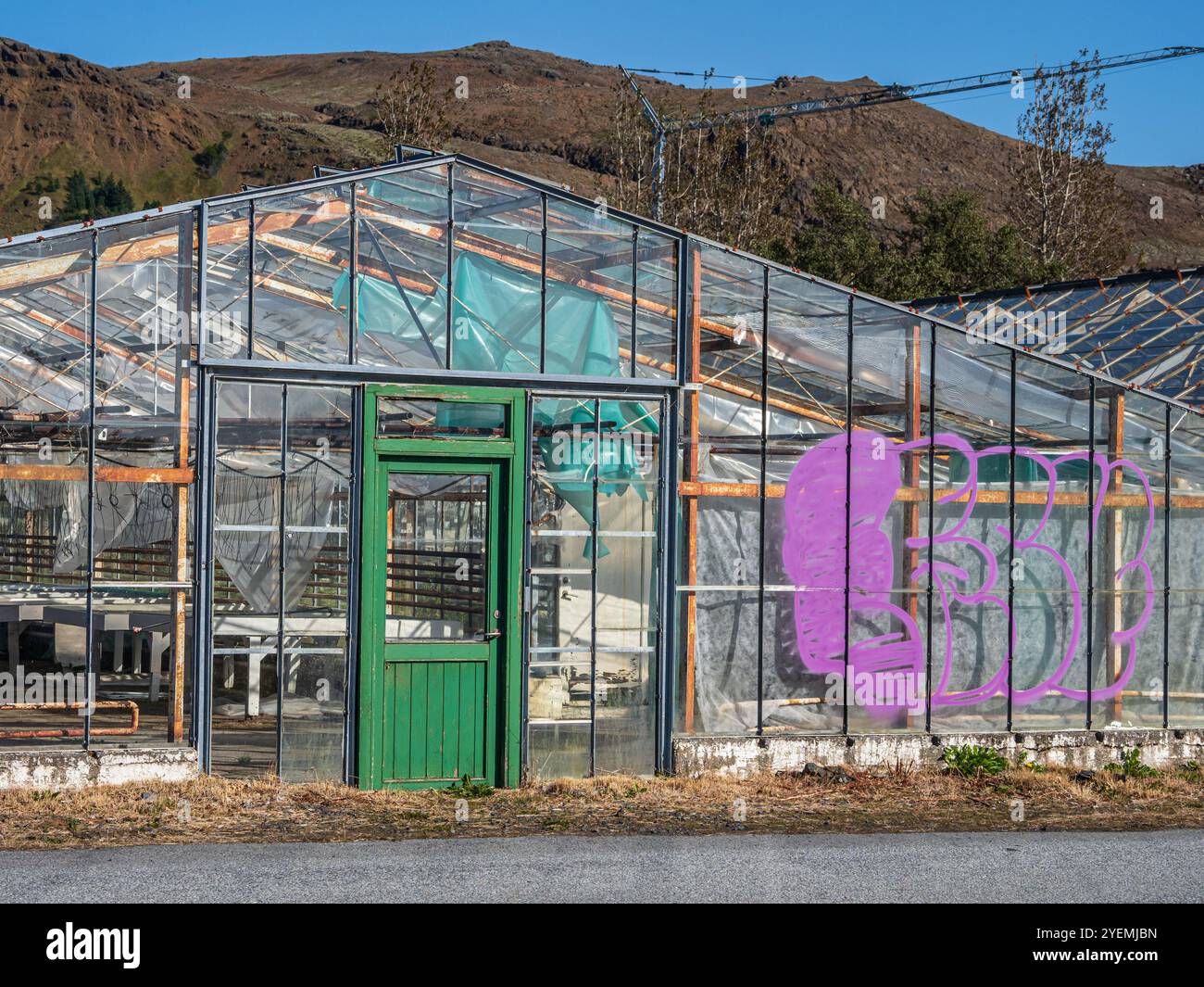 Serra a Hveragerdi, riscaldata da acqua calda geotermica, Islanda Foto Stock