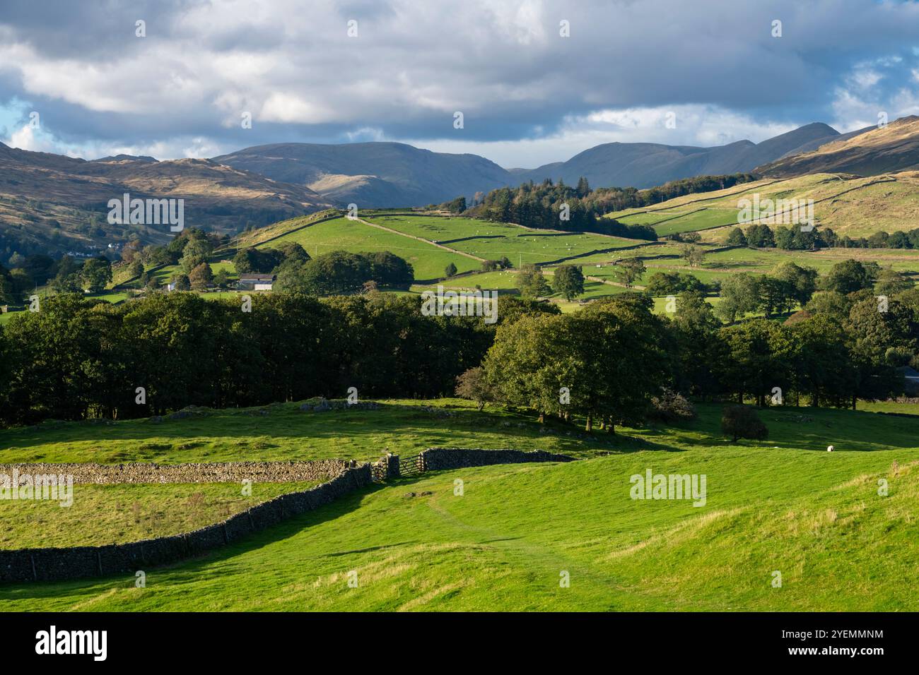 Splendida campagna intorno a Windermere nel parco nazionale del Lake District, Cumbria, Inghilterra. Foto Stock