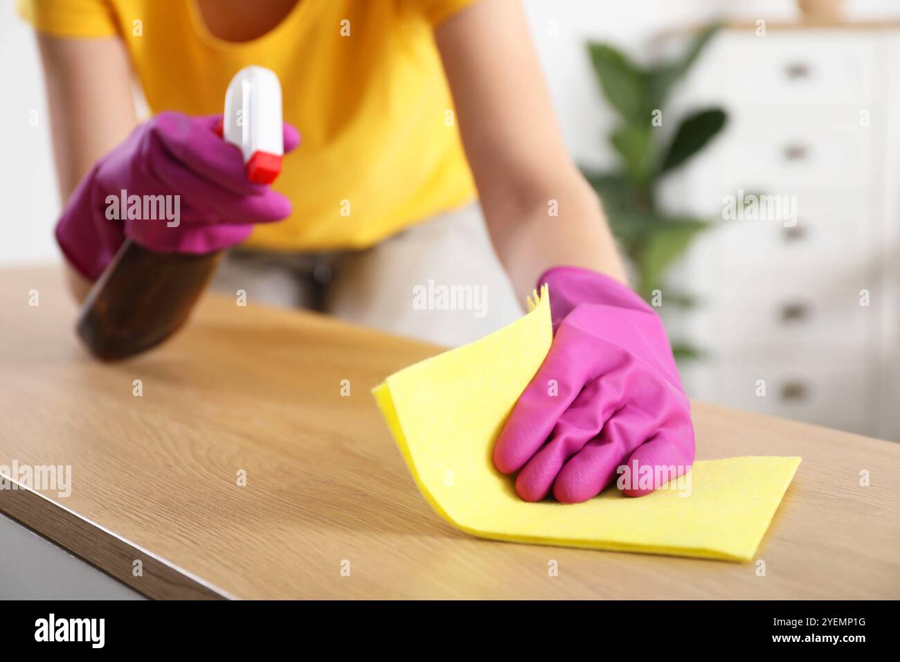 Donna che pulisce il tavolo con lo straccio e lo spray a casa, primo piano Foto Stock