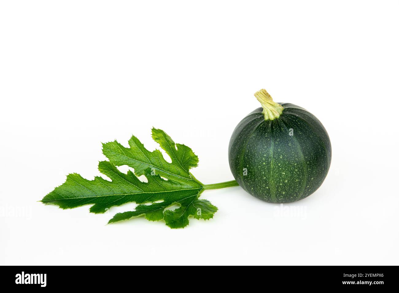 Zucchine verdi o zucchine tonde - cucurbita pepo su sfondo bianco Foto Stock