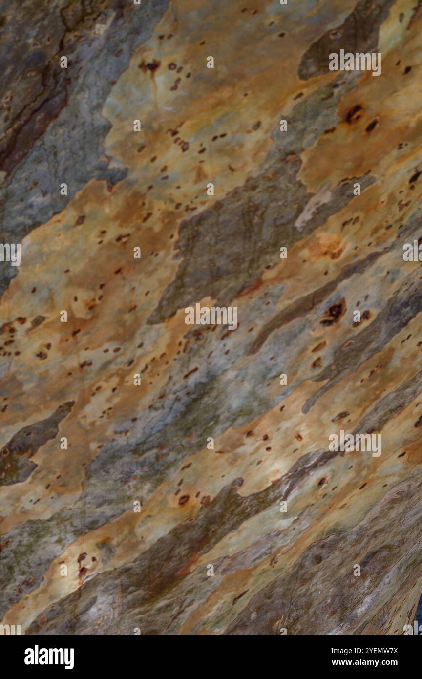 Le sfumature vorticose di ocra e grigio creano un'incredibile esposizione sulle pareti della grotta, illuminata dalla delicata luce del sole. Foto Stock