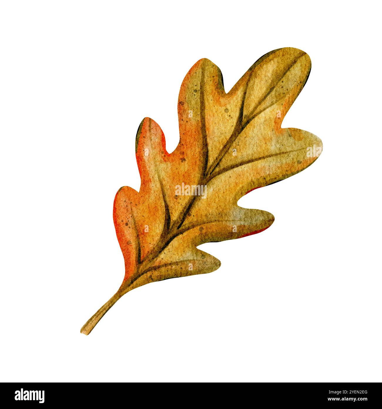 Splendido acquerello che raffigura una vibrante foglia di quercia autunnale dalle calde sfumature di arancio, giallo e marrone. Perfetto per i design a tema autunnale, stagionale Foto Stock