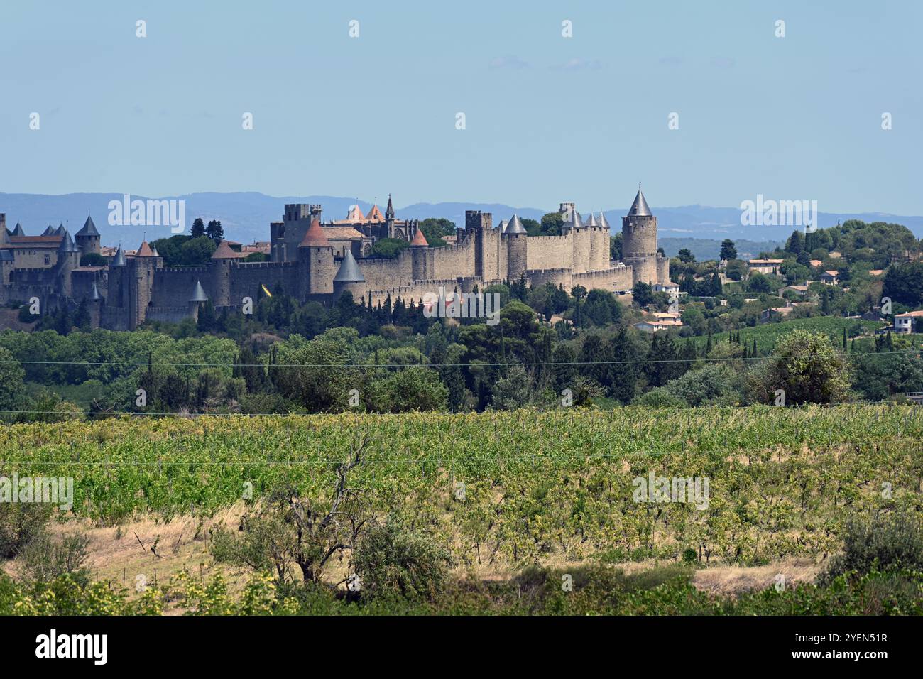 Vista panoramica o panoramica della città murata o della città fortificata di Carcassonne e dei vigneti Aude France Foto Stock