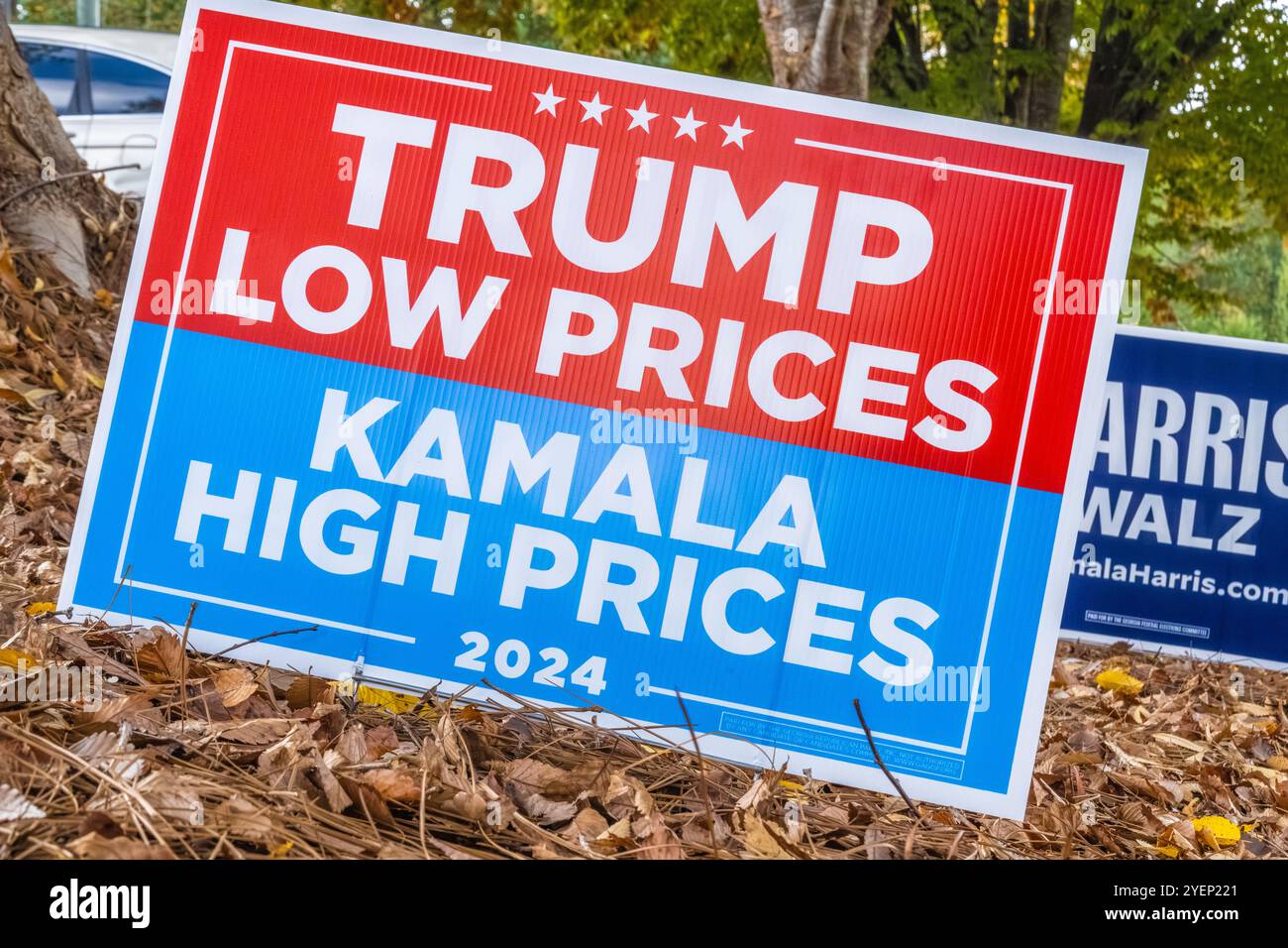 Trump e Harris yard firmano a un posto elettorale della Metro Atlanta, Georgia, durante le prime votazioni nelle elezioni generali degli Stati Uniti del 2024. (USA) Foto Stock