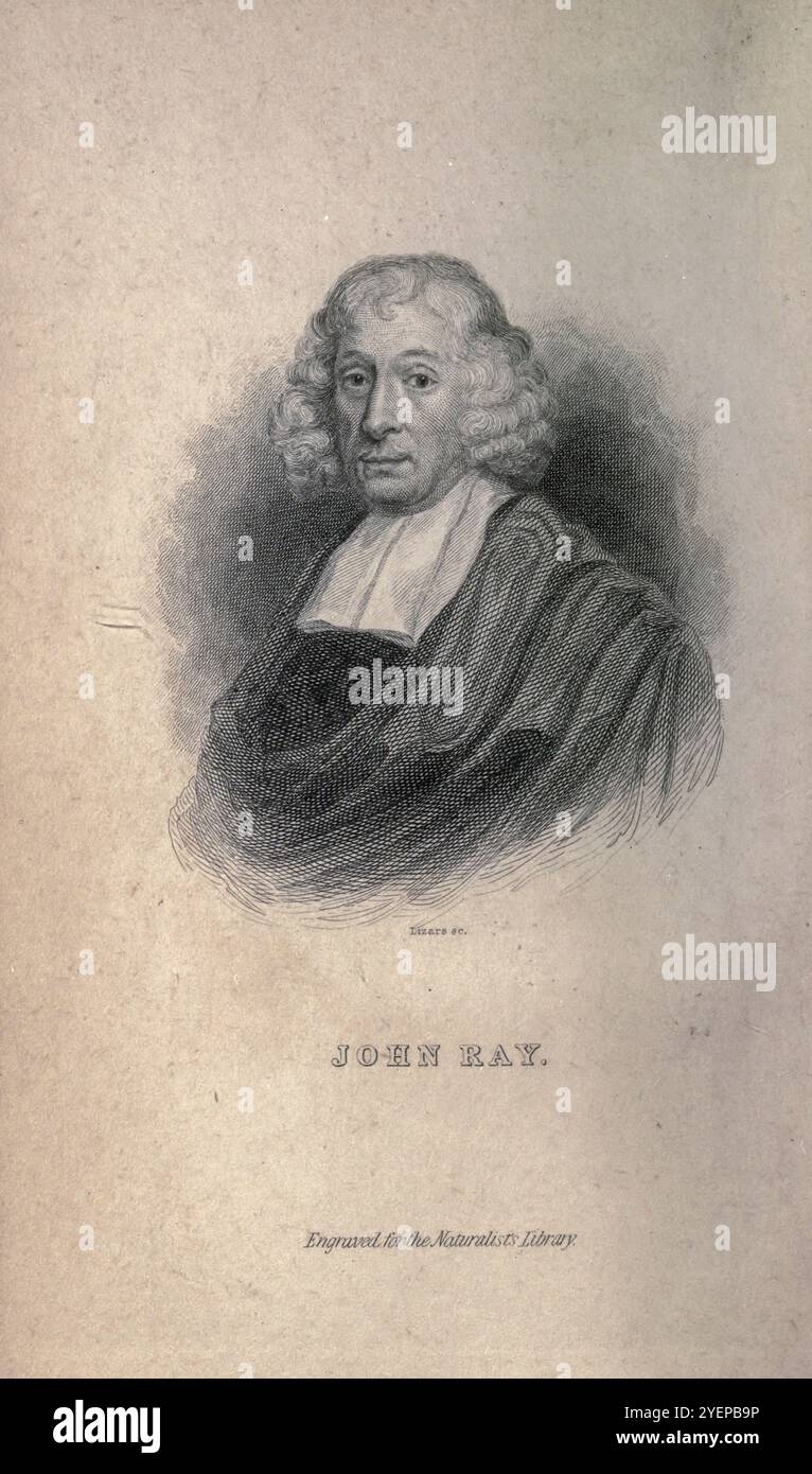 John Ray (29 novembre 1627 – 17 gennaio 1705) è stato un naturalista cristiano inglese ampiamente considerato come uno dei primi parsimonisti inglesi. Fino al 1670, scrisse il suo nome come John Wray. Da quel momento in poi, ha usato 'Ray', dopo 'aver accertato che tale era stata la pratica della sua famiglia prima di lui'. Pubblicò importanti opere sulla botanica, la zoologia e la teologia naturale. La sua classificazione delle piante nella sua Historia Plantarum, fu un passo importante verso la tassonomia moderna. Da Beetles di Duncan, James, 1804-1861 data di pubblicazione 1846 Foto Stock John Ray (29 novembre 1627 – 17 gennaio 1705) è stato un naturalista cristiano inglese ampiamente considerato come uno dei primi parsimonisti inglesi. Fino al 1670, scrisse il suo nome come John Wray. Da quel momento in poi, ha usato 'Ray', dopo 'aver accertato che tale era stata la pratica della sua famiglia prima di lui'. Pubblicò importanti opere sulla botanica, la zoologia e la teologia naturale. La sua classificazione delle piante nella sua Historia Plantarum, fu un passo importante verso la tassonomia moderna. Da Beetles di Duncan, James, 1804-1861 data di pubblicazione 1846 Foto Stock