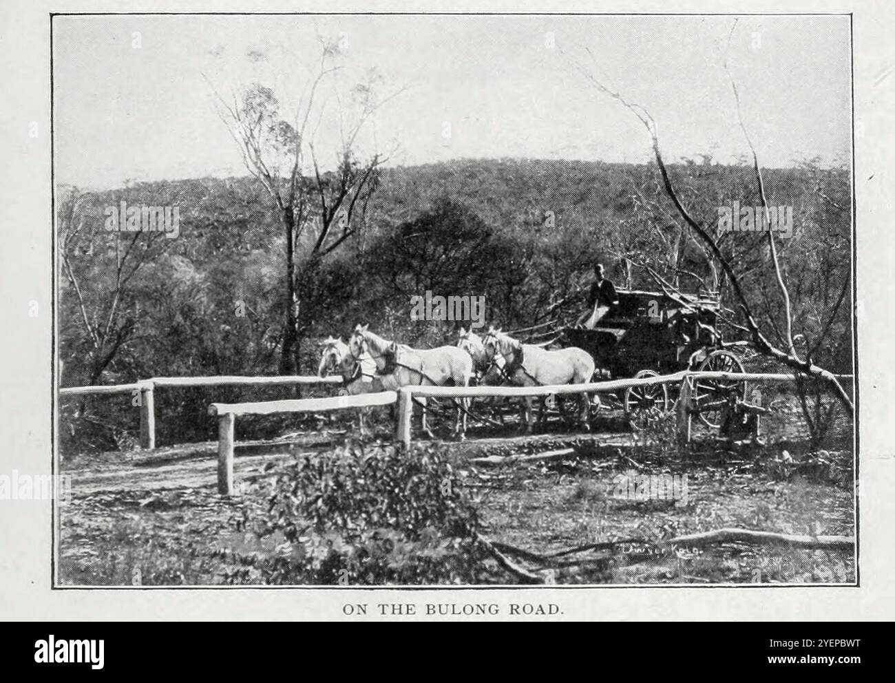 SULLA BULONG ROAD. Dall'articolo ESTRAZIONE E FRESATURA DELL'ORO NELL'AUSTRALIA occidentale. Di A. G. Charleton. Dalla rivista Engineering dedicata al progresso industriale volume XX 1900 - 1901 The Engineering Magazine Co Foto Stock