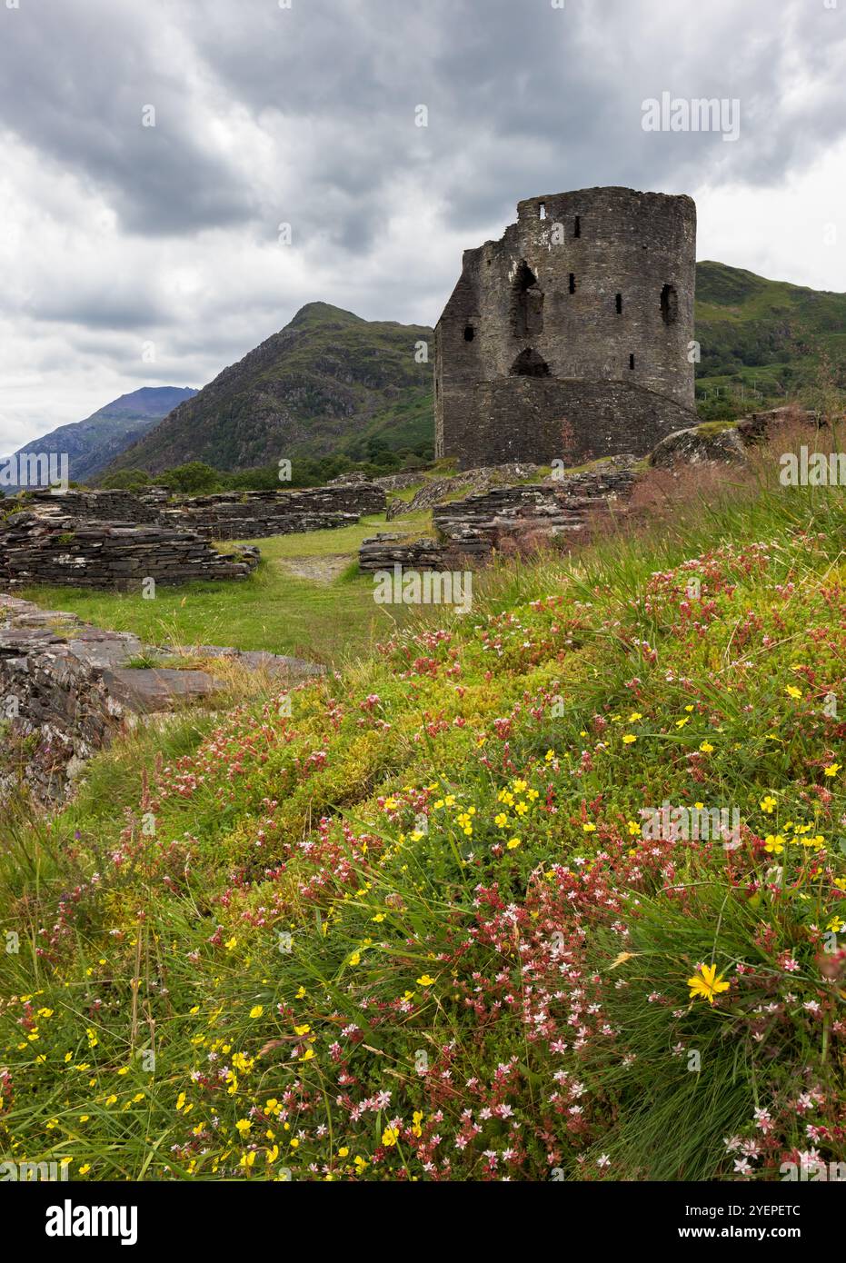 Castello di Dolbadarn, Llanberis, Snowdonia, Galles, Regno Unito Foto Stock