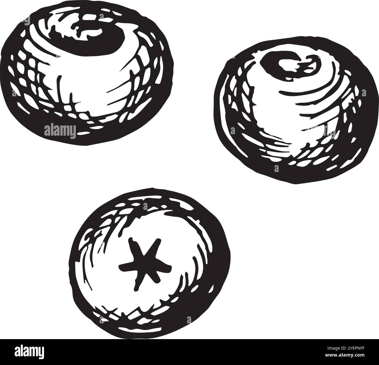 Frutti di bosco. Estate, raccolta autunnale di cibo. Illustrazione della linea grafica vettoriale disegnata a mano isolata. Frutti di piante di doodle bianchi e neri. Selvaggio Illustrazione Vettoriale