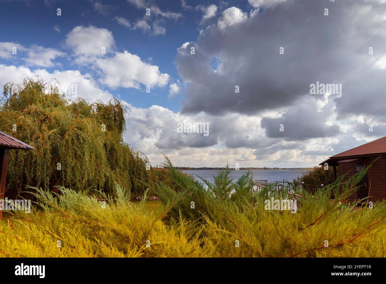 Paesaggio rurale con cespugli gialli e cielo nuvoloso sul lago Foto Stock