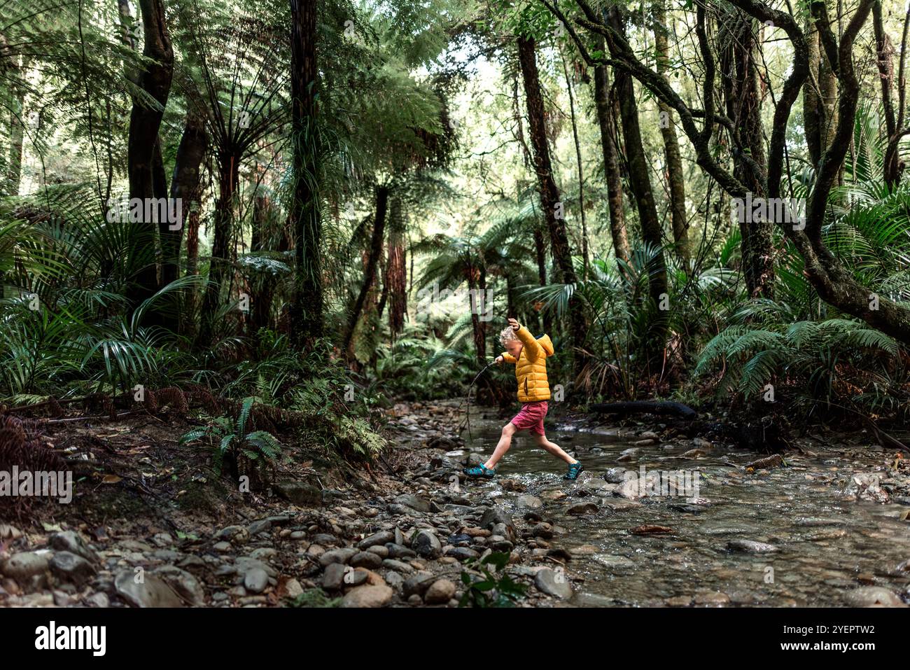 Bambini piccoli che attraversano il torrente nella lussureggiante foresta Foto Stock