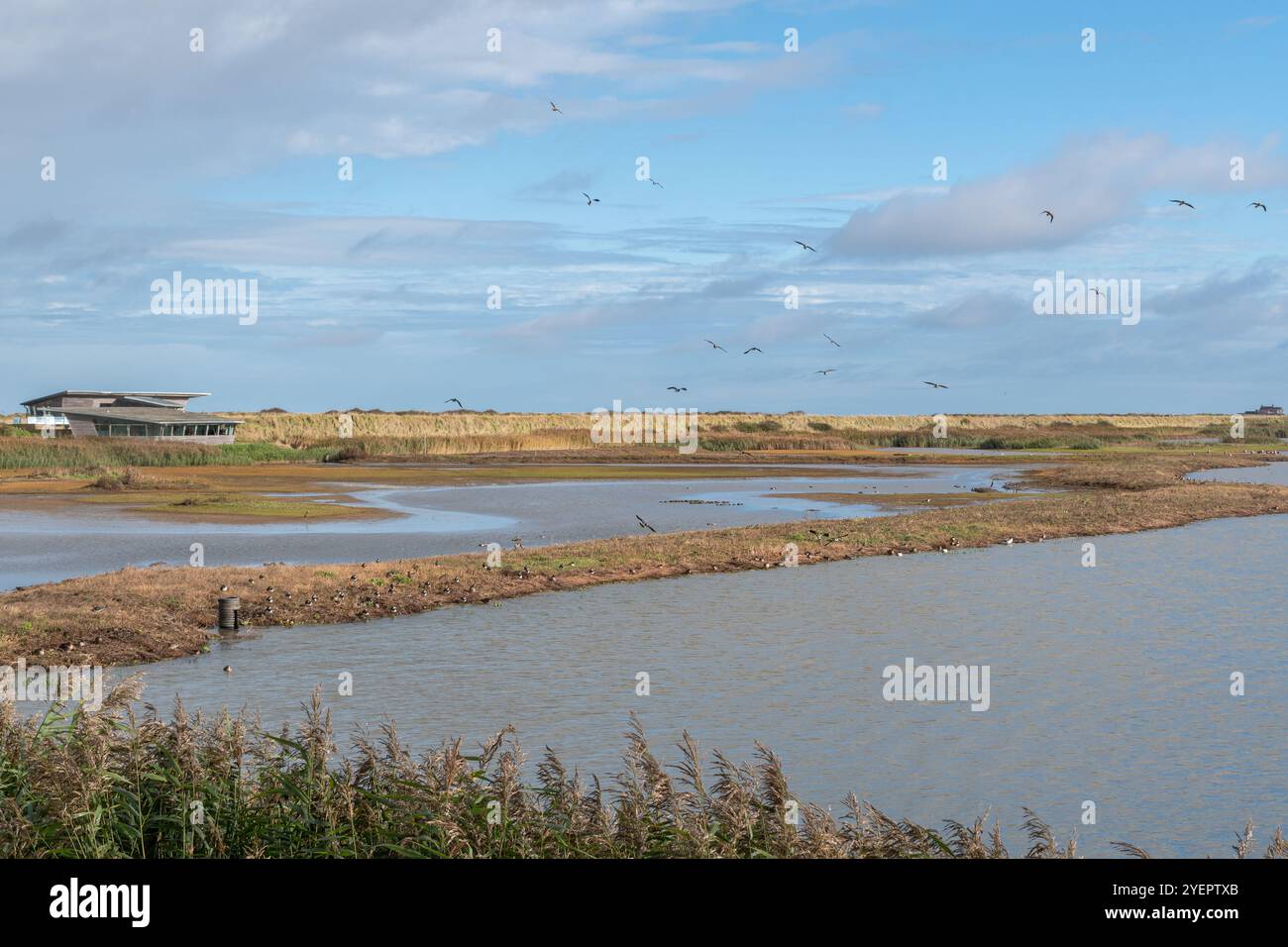 Vista della riserva naturale RSPB Titchwell Marsh nel Norfolk settentrionale, Inghilterra, Regno Unito, durante l'autunno, con uccelli tra cui anatre trampolieri e oche Foto Stock