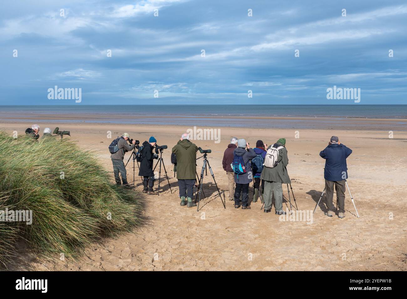 Birdwatcher o birdwatching nella riserva naturale RSPB Titchwell Marsh per l'osservazione del mare, alla ricerca di uccelli sul mare, North Norfolk, Inghilterra, Regno Unito Foto Stock