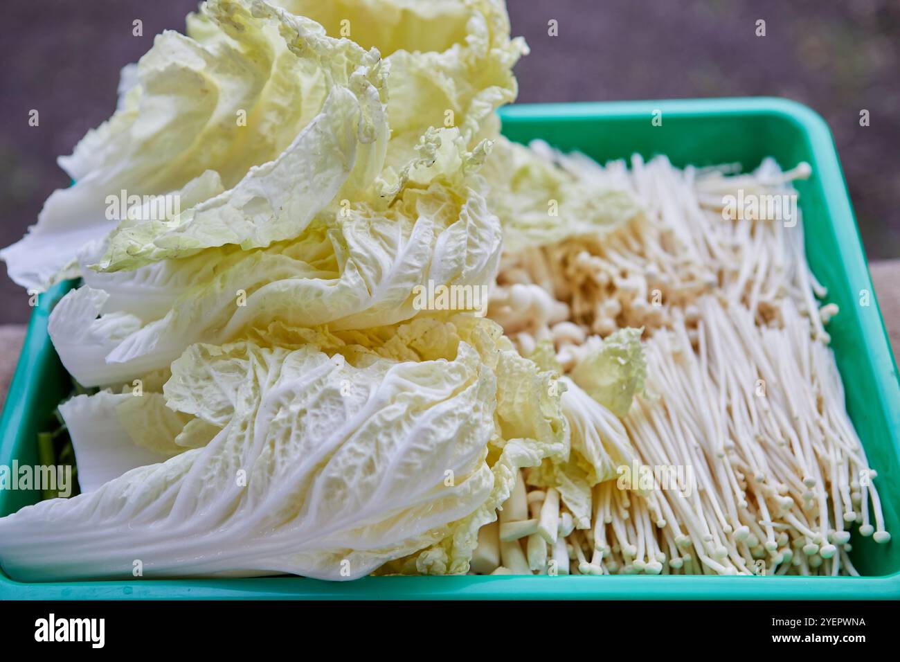 Vista ravvicinata del cavolo cinese con funghi Enoki nel piatto Foto Stock