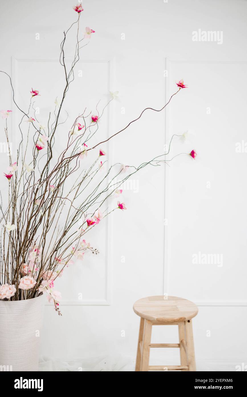 Rami floreali essiccati con una parete bianca Foto Stock