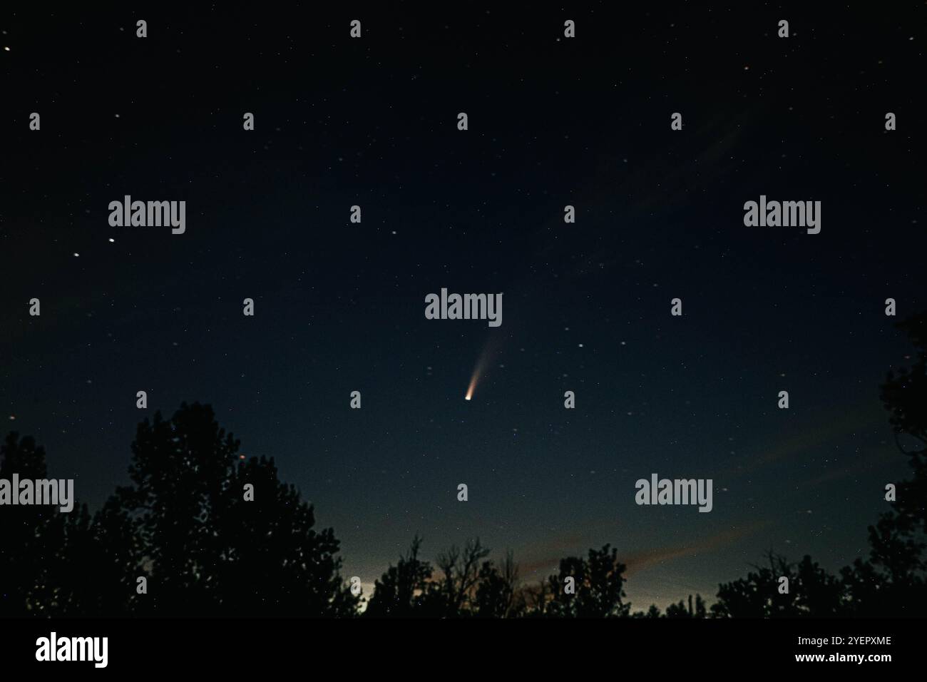 Una cometa nel cielo notturno Foto Stock