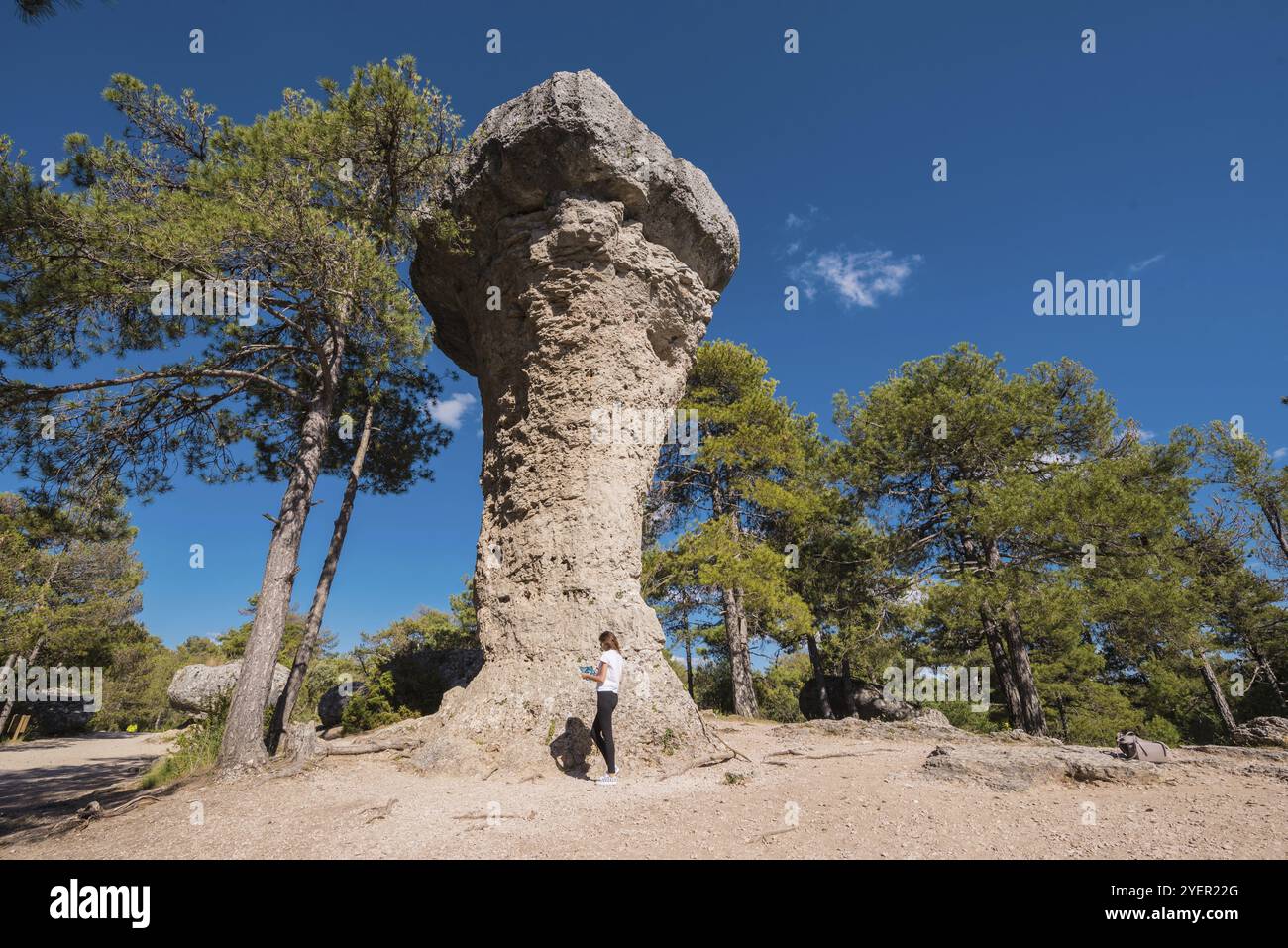 La Ciudad encantada. Il parco naturale incantato della città, un gruppo di rocce calcaree dalle forme scoscese a Cuenca, Spagna, Europa Foto Stock