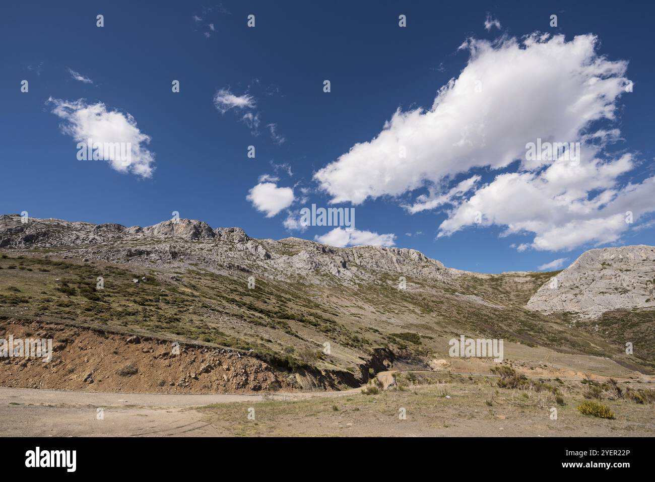 Paesaggio naturale nelle montagne di Palencia, Castilla y Leon, Spagna, Europa Foto Stock