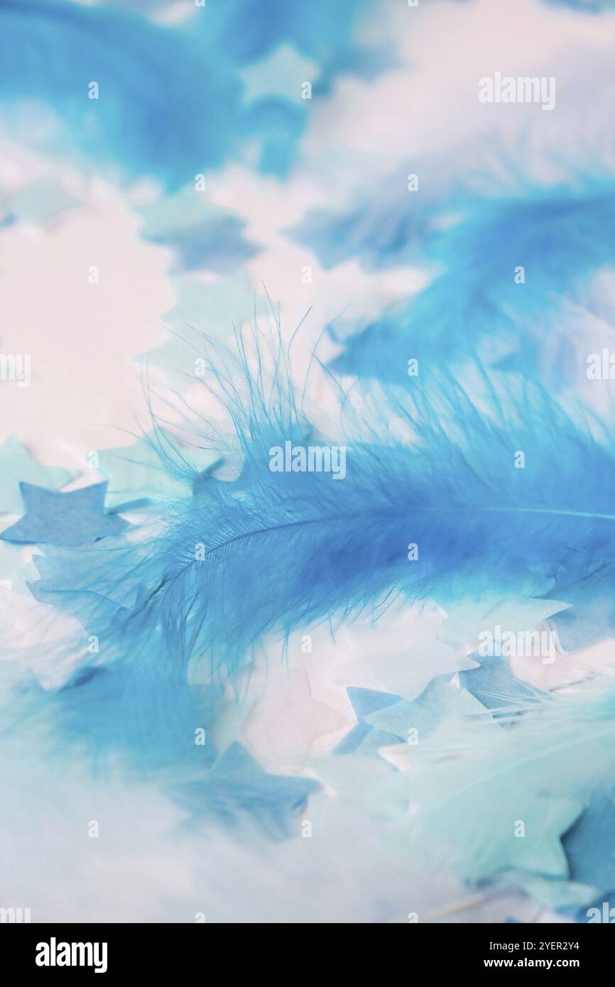 Colori bianco e blu. Piuma d'uccello su fuoco selettivo. Primo piano. Sfondo. Spazio di copia per il testo. Femina, ariosa e leggera. Texture piume in colore pastello Foto Stock