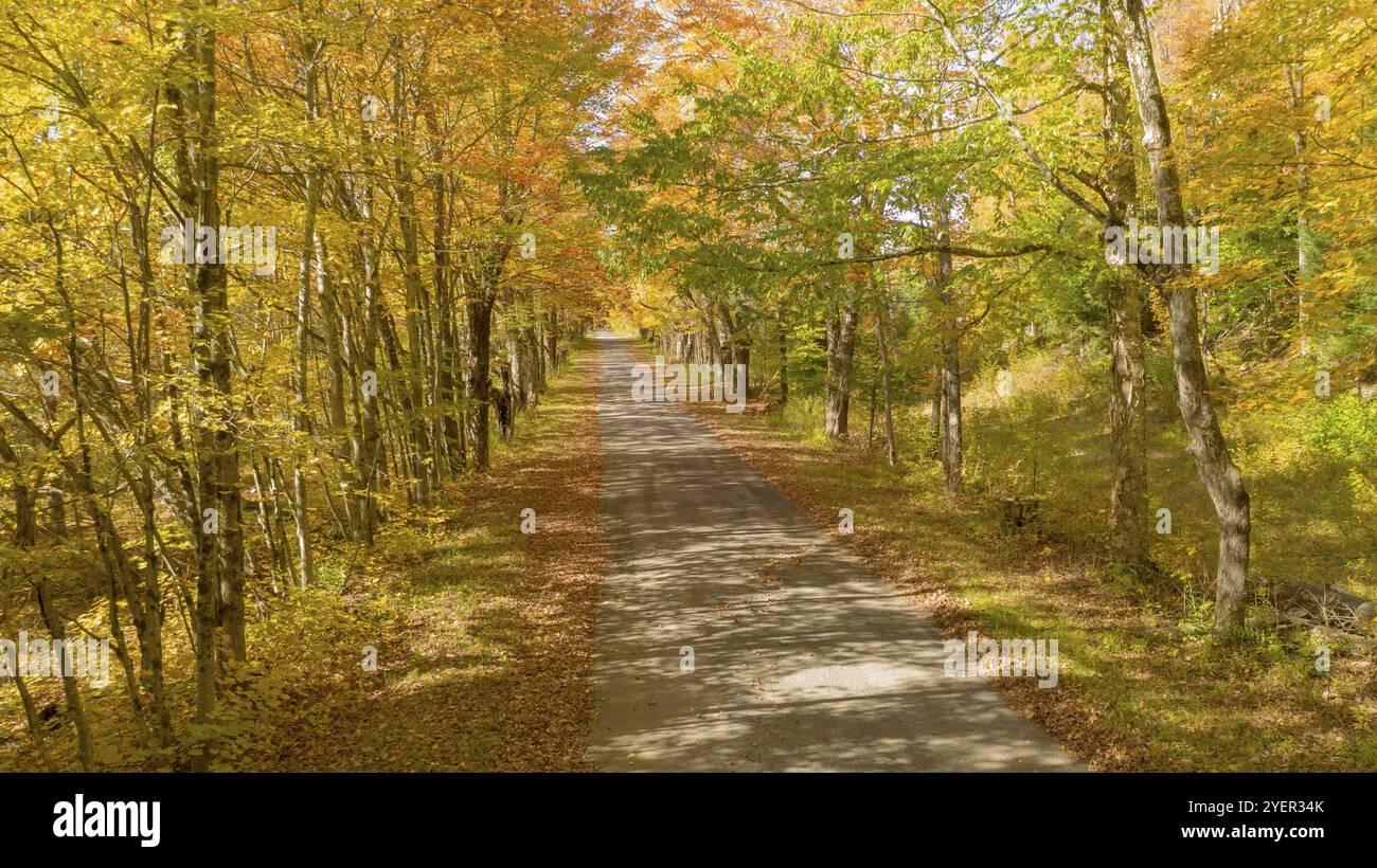 Appartata Corsia stretta strada le foglie in autunno i colori dell'Autunno Foto Stock