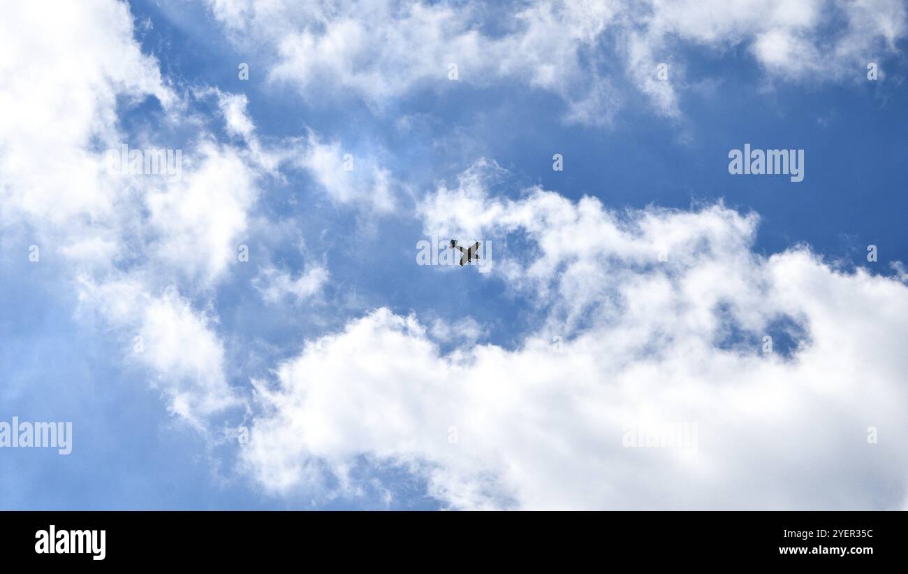 Aereo che vola nel cielo blu su sfondo di nuvole bianche, vista posteriore. Aereo commerciale a due motori durante il concetto di turno, vacanza e viaggio. S Foto Stock