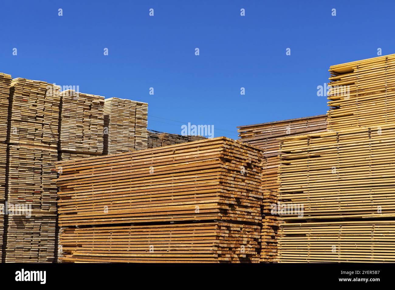 I pallet delle tavole di pino trattate sono stoccati in un deposito di mercanti edili. Travi e tavole in legno sotto un cielo blu con spazio per le copie Foto Stock