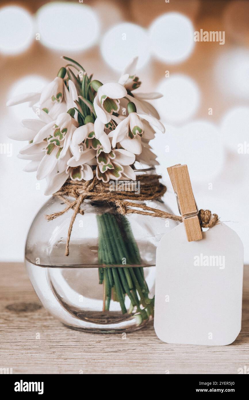 Bouquet di gocce di neve in un vaso di vetro con acqua. Spazio di copia per il testo. Fallo con un tag. Fiori primaverili. Biglietto d'auguri per le festività Foto Stock